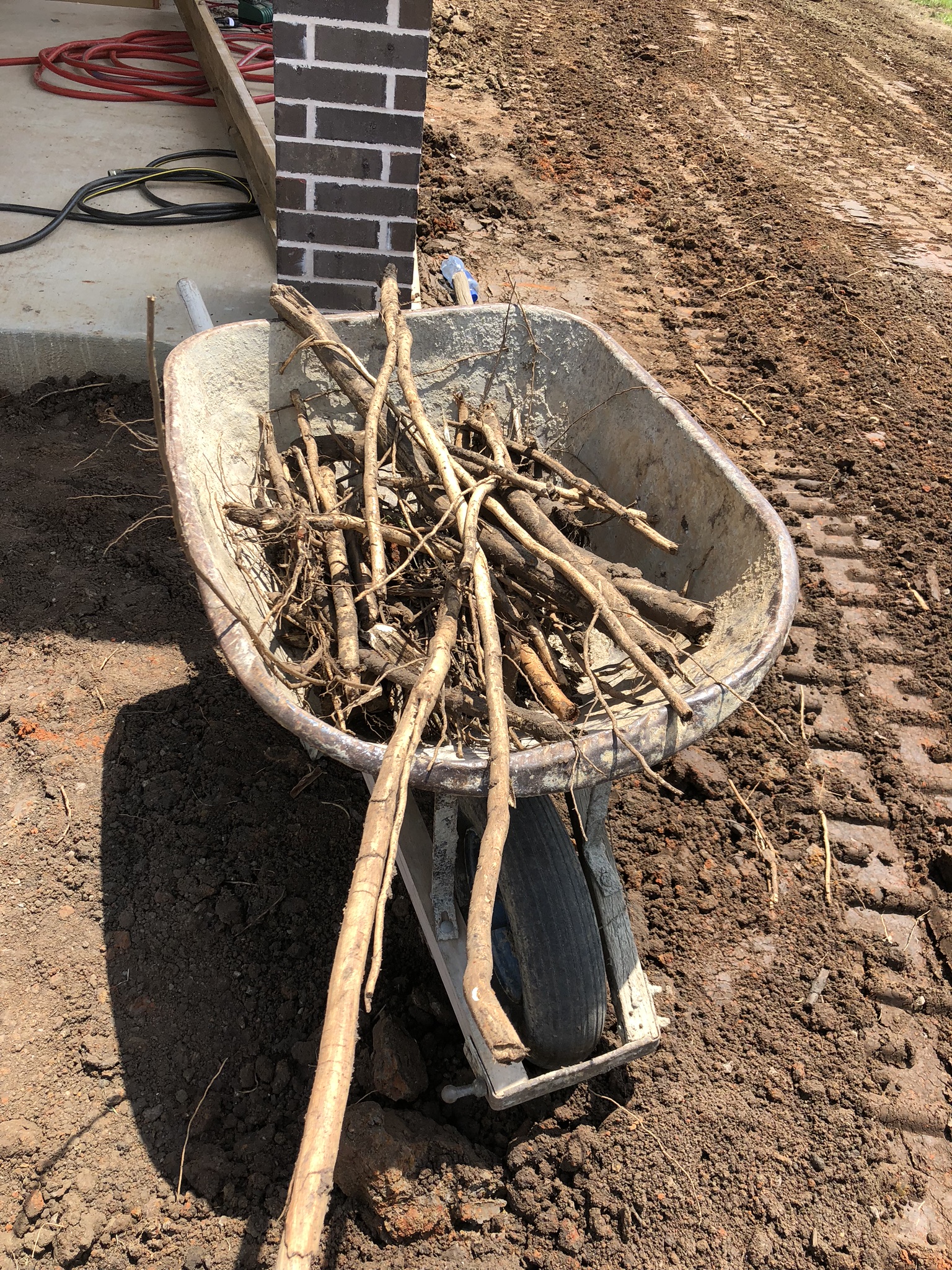 Not all soil is created equal. In the case of the Tioga Job, we ran into some tree roots we weren't expecting. Believe us, we've seen worse. Our crews politely gathered this wood for us for this nice snap shot of what lingers beneath the soil of your home. 